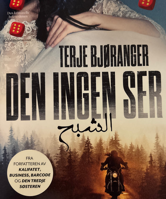Terje Bjøranger - Den ingen ser (innbundet)