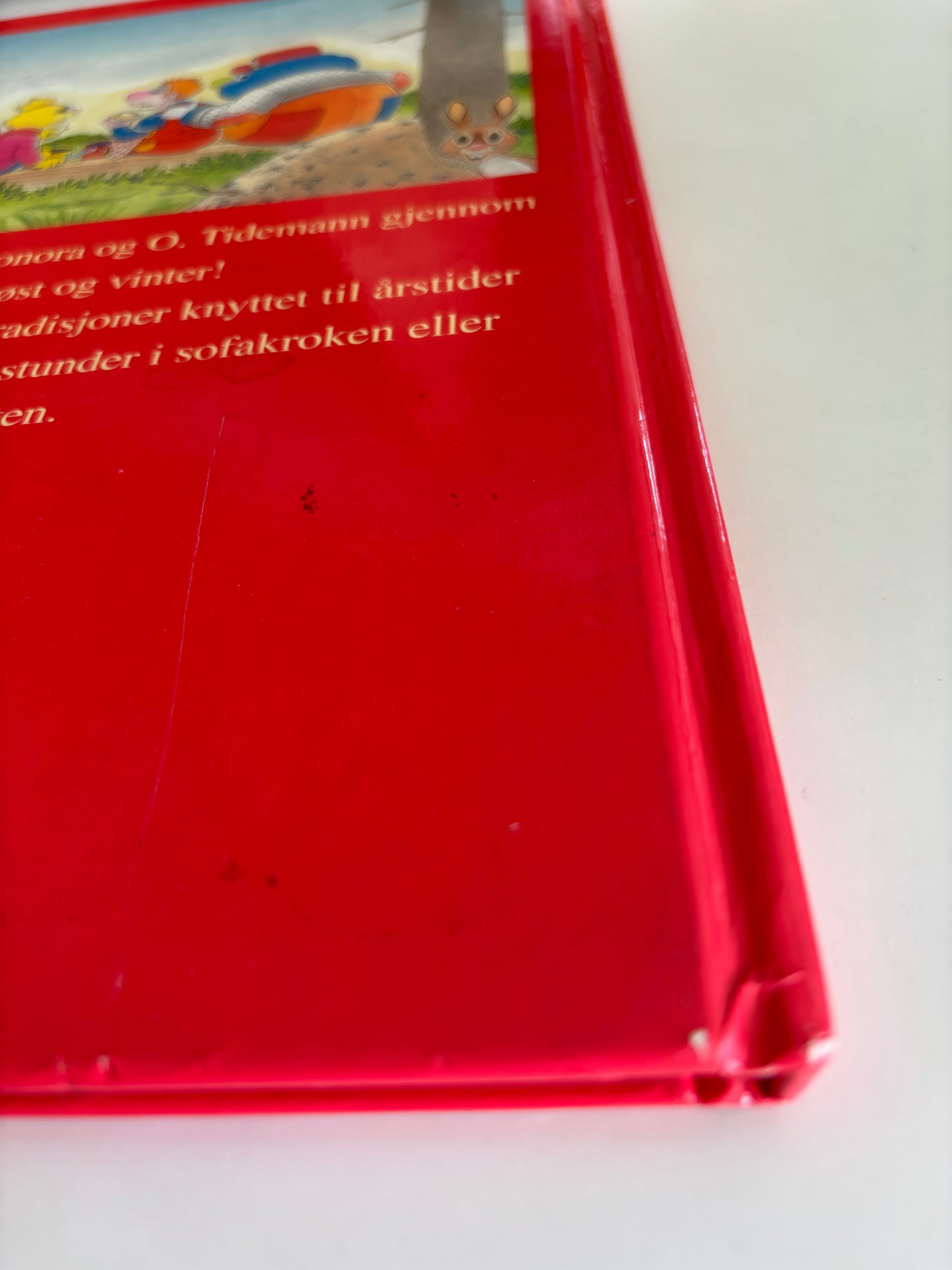 Året rundt med Sesam stasjon