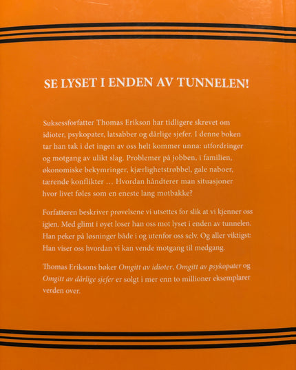 Erikson, Thomas: Når alt går til helvete - Omgitt av utfordringer - Slik vender du motgang til medgang