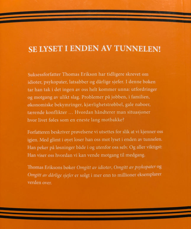 Erikson, Thomas: Når alt går til helvete - Omgitt av utfordringer - Slik vender du motgang til medgang