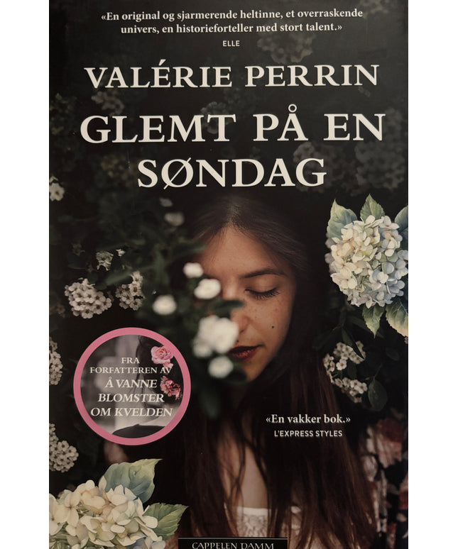 Perrin, Valerie: Glemt på en søndag
