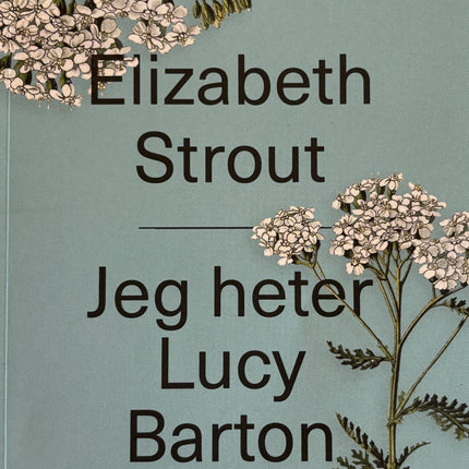 Collection image for: Bøker av Elizabeth Strout