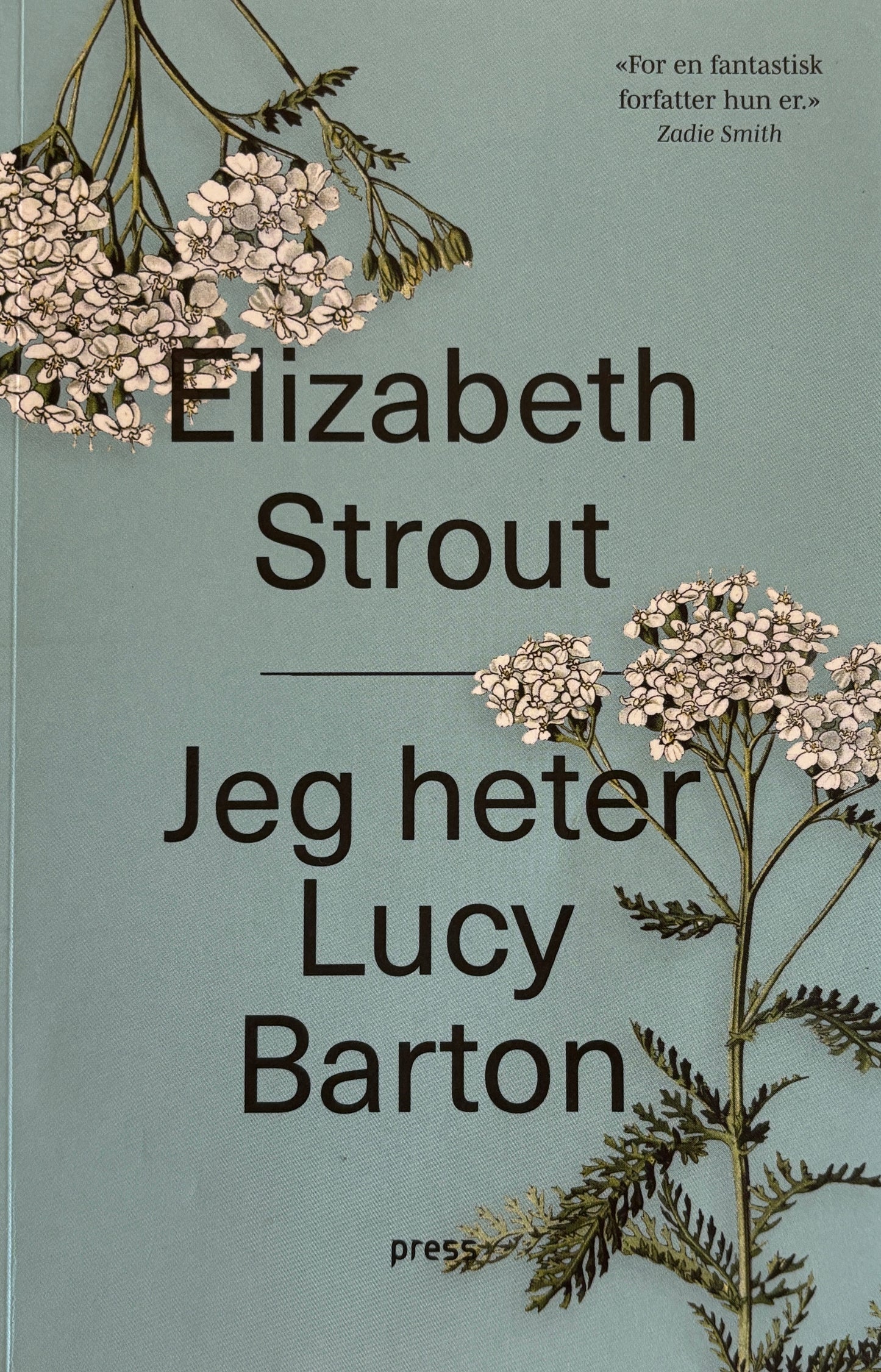 Strout, Elizabeth: Jeg heter Lucy Barton