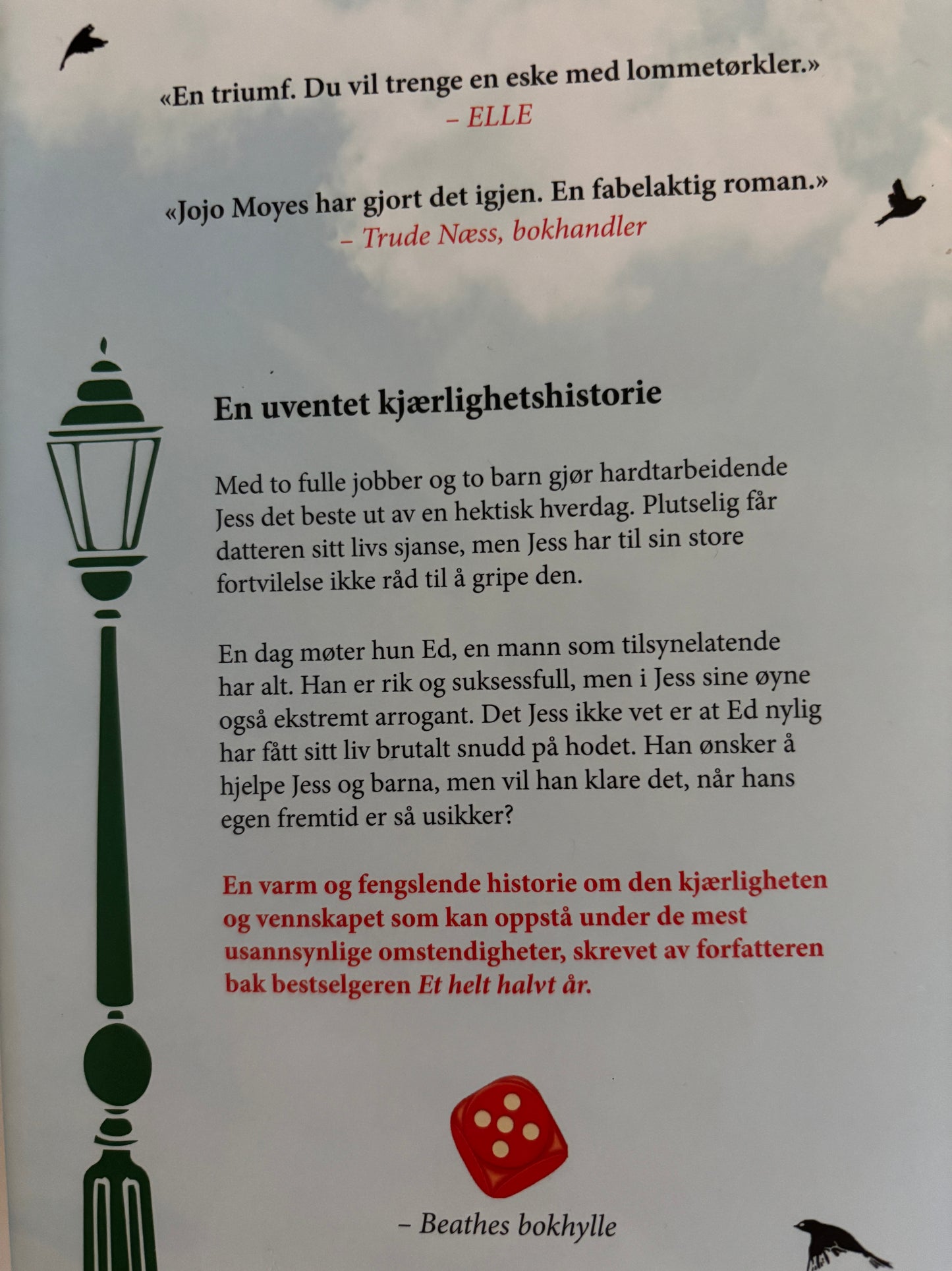 Moyes, Jojo: Den ene pluss en