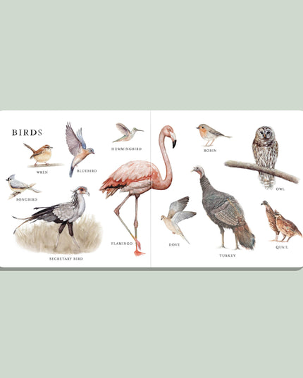 Our Big Book of Animals (Board Book)