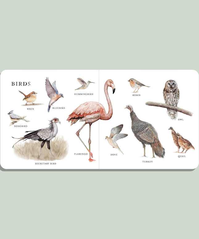Our Big Book of Animals (Board Book)