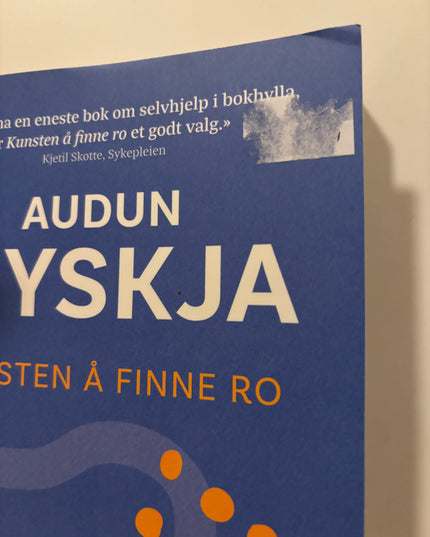 Audun Myskja - Kunsten å finne ro