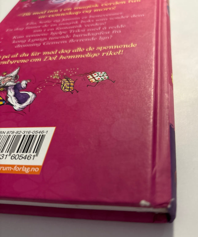 Banks, Rosie: Secret Kingdom - Det hemmelige riket: Slottet