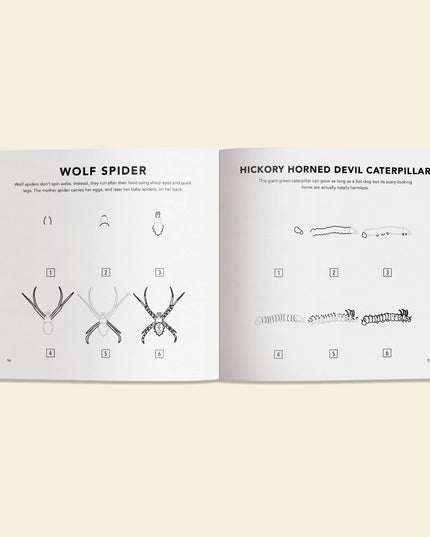 How to Draw Bugs for Kids | Lær å Tegne Bok for Barn