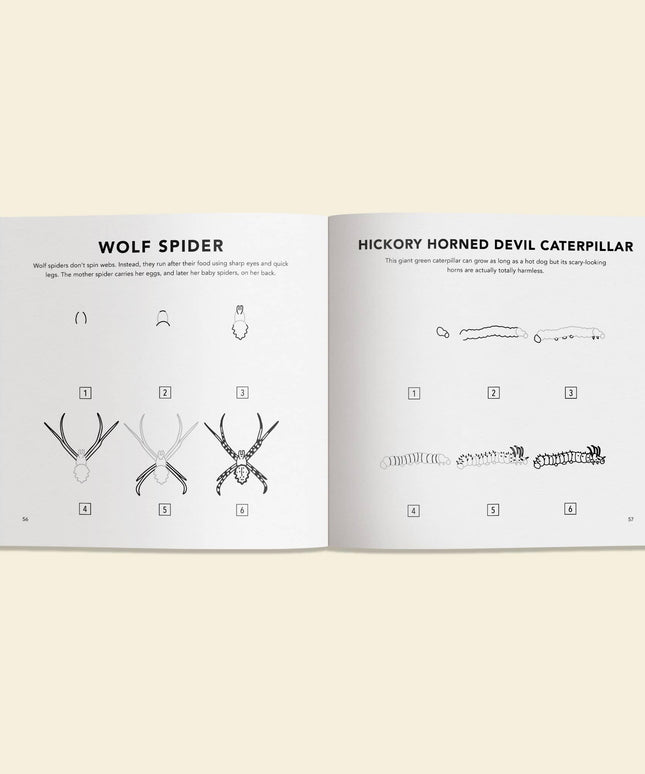 How to Draw Bugs for Kids | Lær å Tegne Bok for Barn