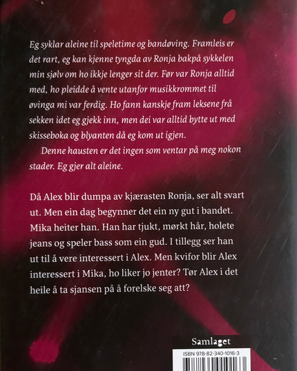 Hestad, Kari Mathilde: Sceneskifte