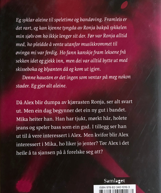 Hestad, Kari Mathilde: Sceneskifte