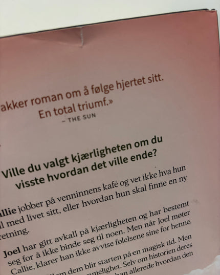 Miller, Holly: Synet av deg