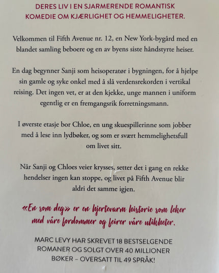 Levy, Marc: En som deg