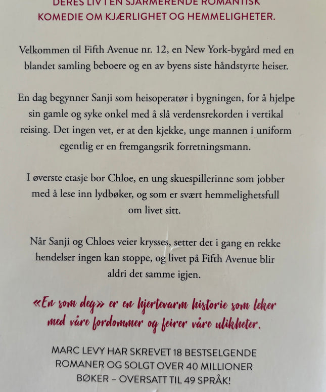 Levy, Marc: En som deg