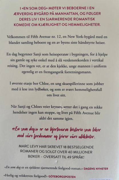 Levy, Marc: En som deg