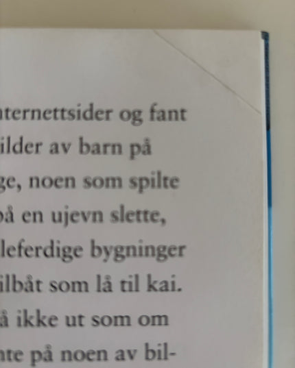 Detektivbyrå nr 2: Operasjon Sommerøya - Jørn Lier Horst