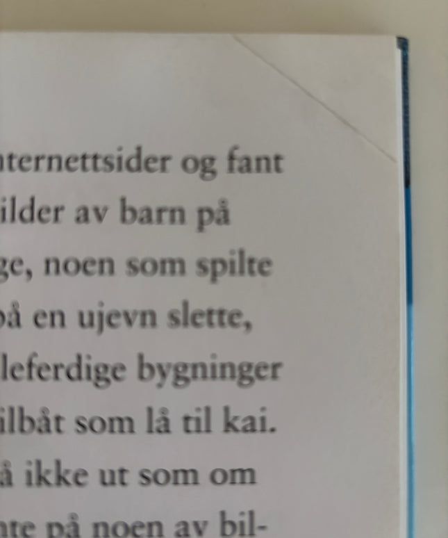 Horst, Jørn Lier: Detektivbyrå nr 2: Operasjon Sommerøya