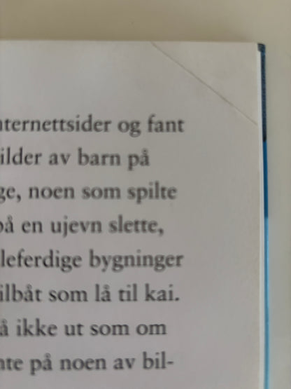 Horst, Jørn Lier: Detektivbyrå nr 2: Operasjon Sommerøya