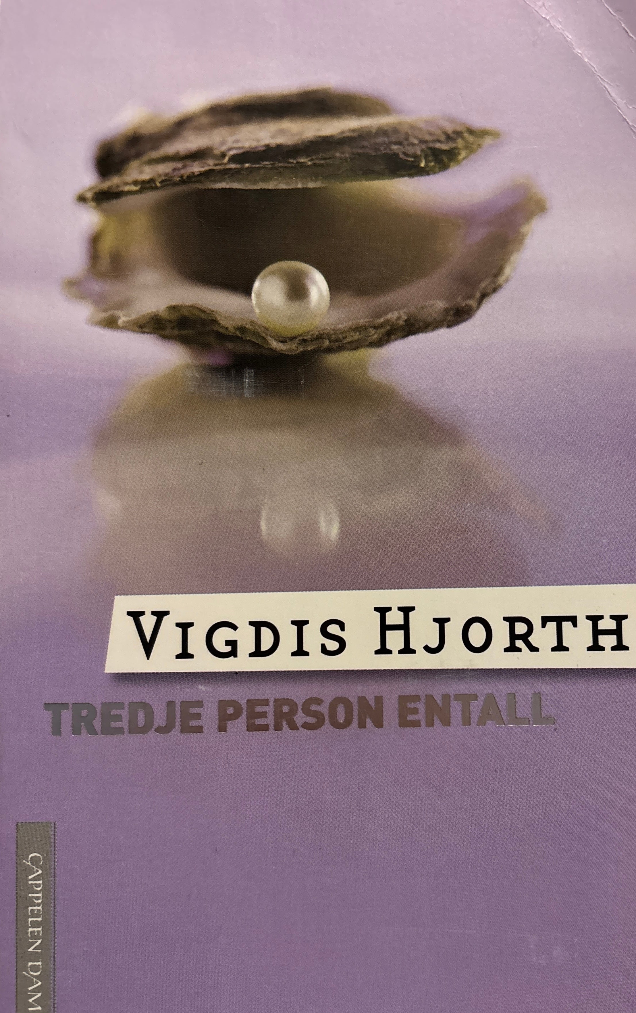 Hjorth, Vigdis: Tredje person entall