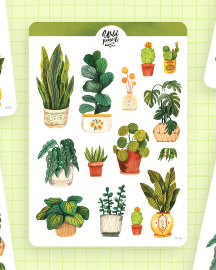Klistremerkeark | Plants
