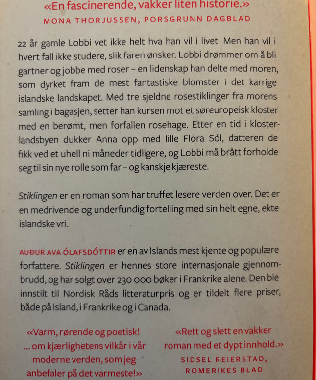Olafsdottir, Audur Ava: Stiklingen