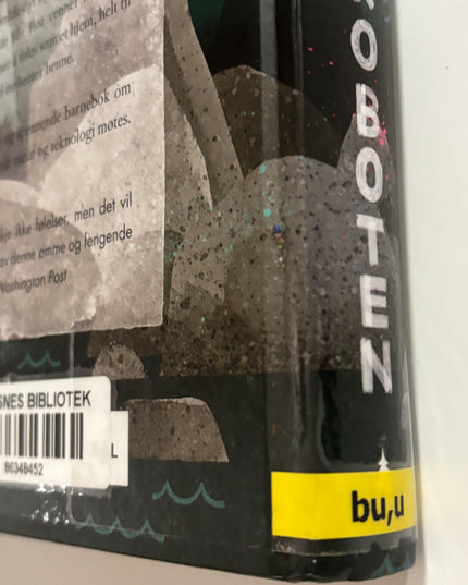Brown, Peter: Den ville roboten