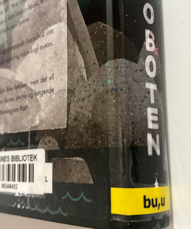 Brown, Peter: Den ville roboten