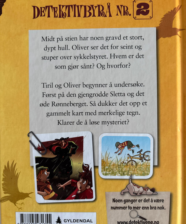 Horst, Jørn Lier: Detektivbyrå nr 2: Operasjon Mørkemann