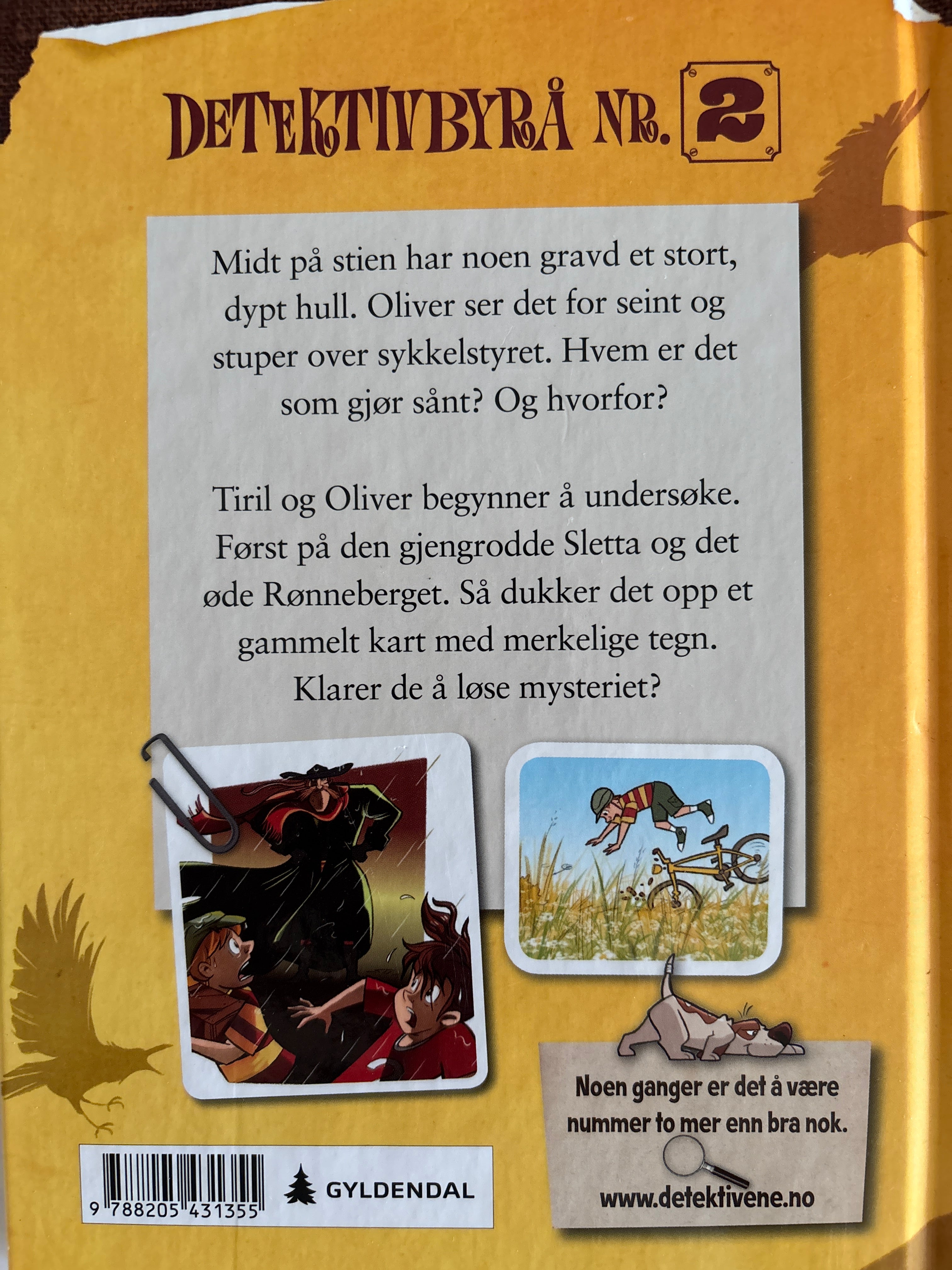 Horst, Jørn Lier: Detektivbyrå nr 2: Operasjon Mørkemann