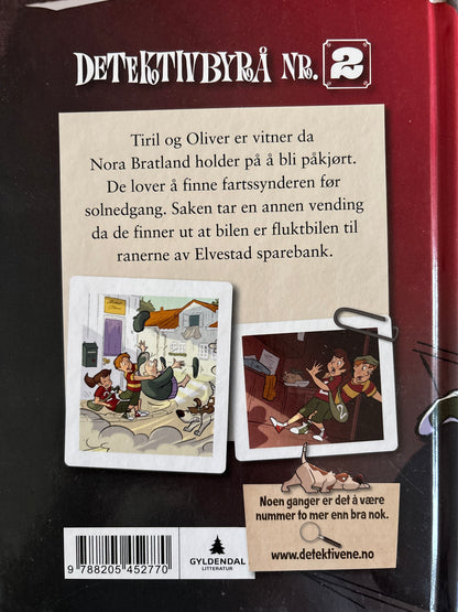 Horst, Jørn Lier: Detektivbyrå nr 2: Operasjon Solnedgang