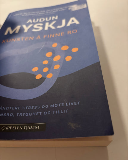 Audun Myskja - Kunsten å finne ro