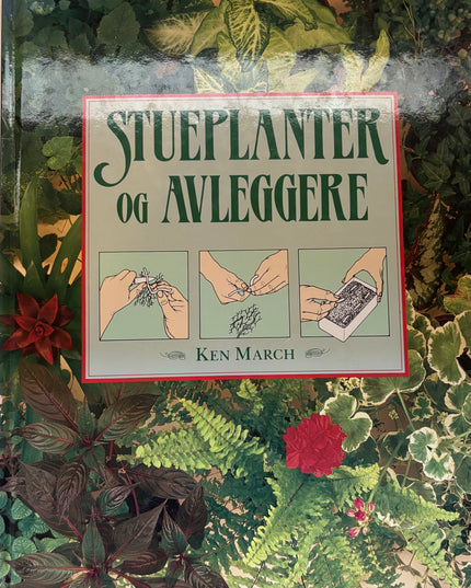 Stueplanter og avleggere