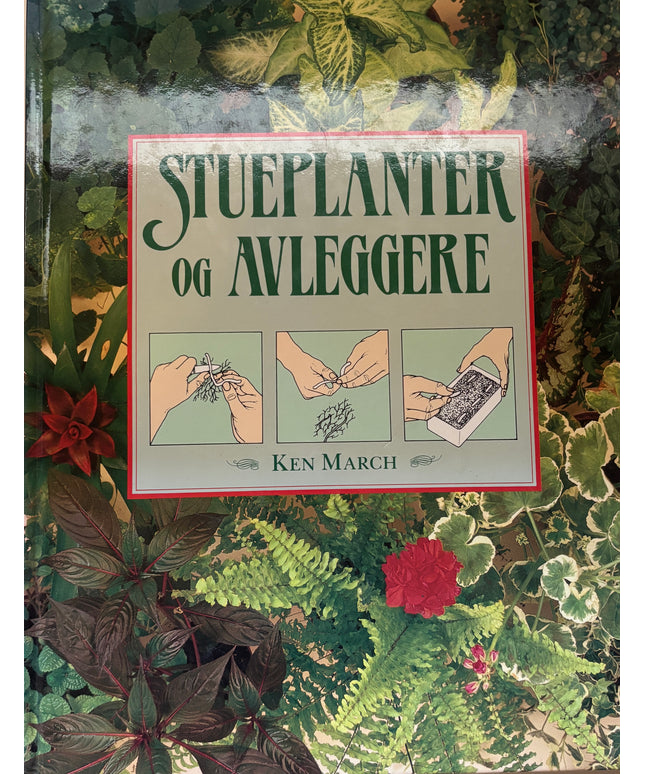 Stueplanter og avleggere