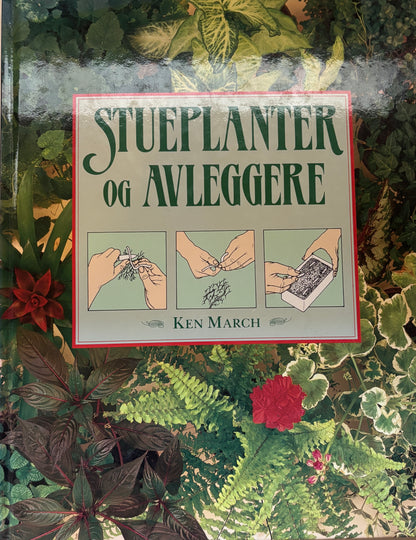 Stueplanter og avleggere