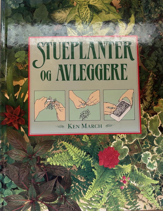 Stueplanter og avleggere