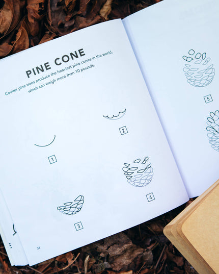 Fall Things: How to Draw Book for Kids with Pumpkins, Scarecrows, Turkeys and More