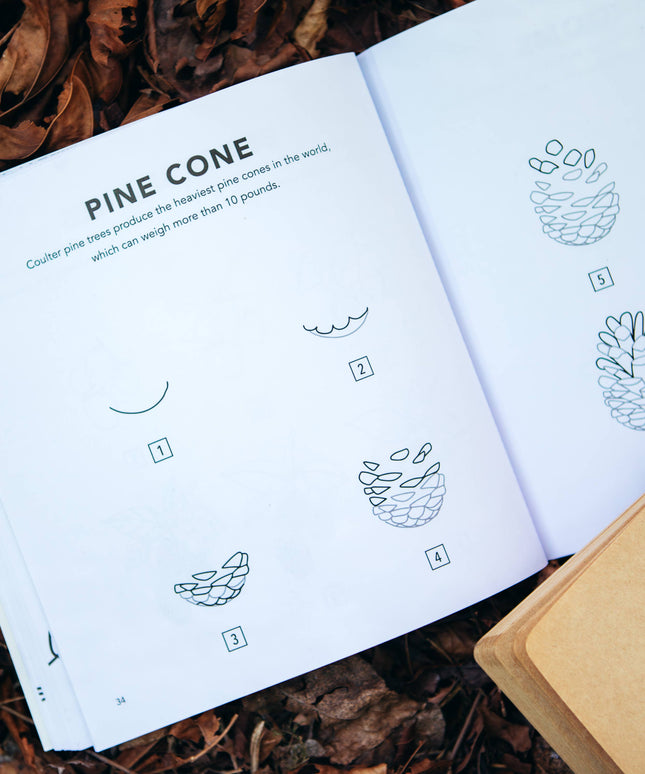 Fall Things: How to Draw Book for Kids with Pumpkins, Scarecrows, Turkeys and More