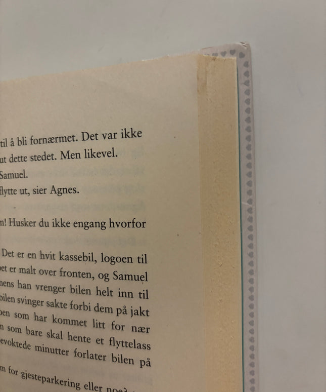 Linde, Heidi: Agnes i senga