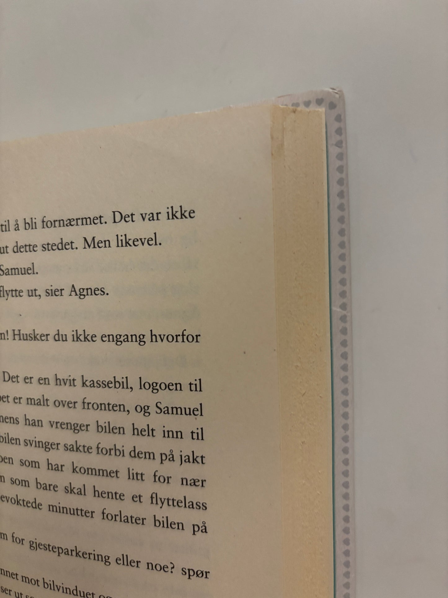 Linde, Heidi: Agnes i senga