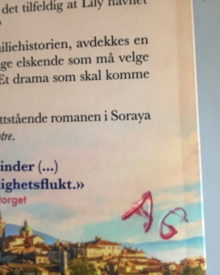 Lane, Soraya: Den italienske datteren