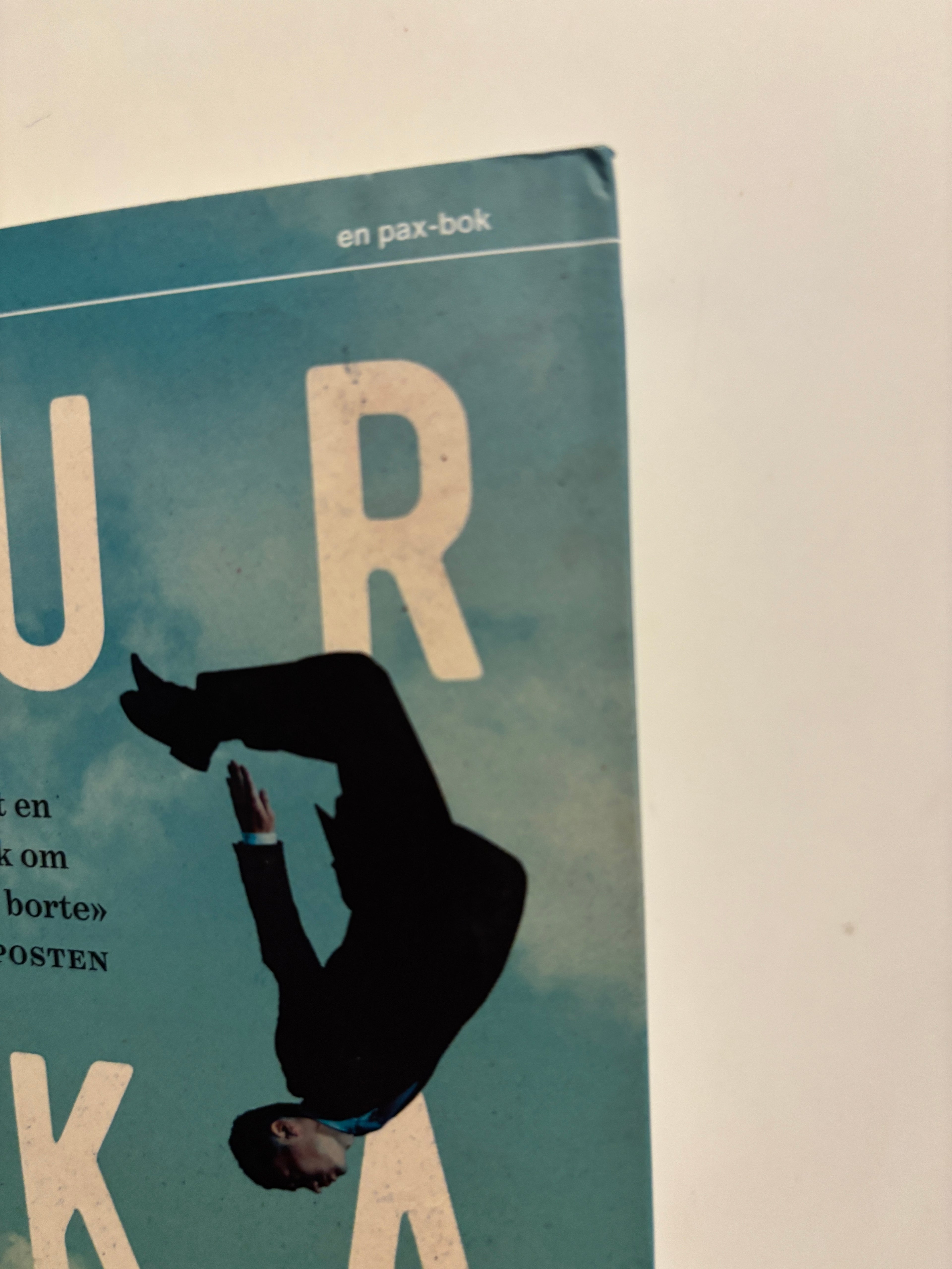 Murakami, Haruki: Byen bak muren