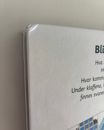 Baumann, Anne-Sophie: Den kjempestore boka om byen