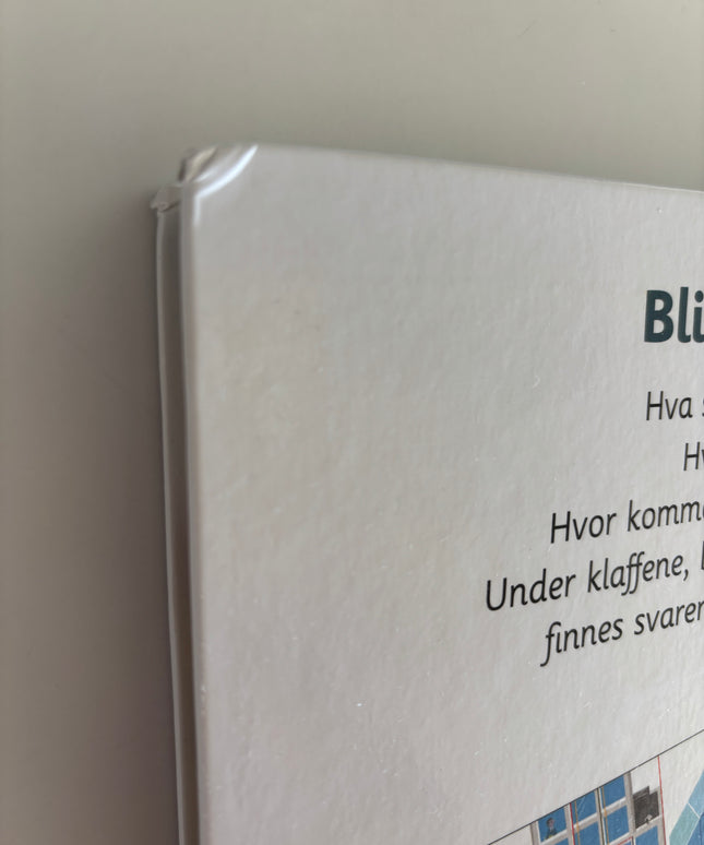 Baumann, Anne-Sophie: Den kjempestore boka om byen