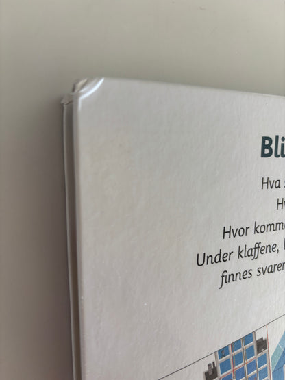 Baumann, Anne-Sophie: Den kjempestore boka om byen