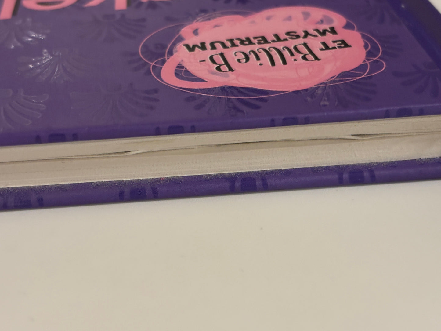 Rippin, Sally: Spøkelseshuset