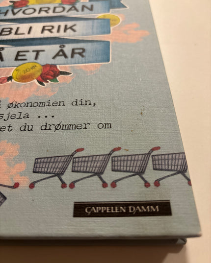 Olaussen, Marie: Hvordan bli rik på et år