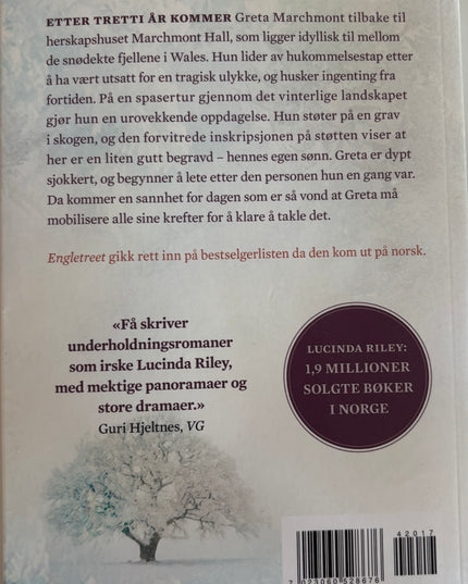 Engletreet - Lucinda Riley (pocket)