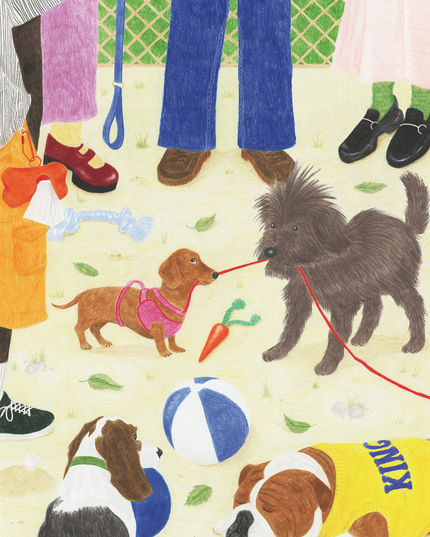 Take the Dog Out | Puslespill 1000 Brikker