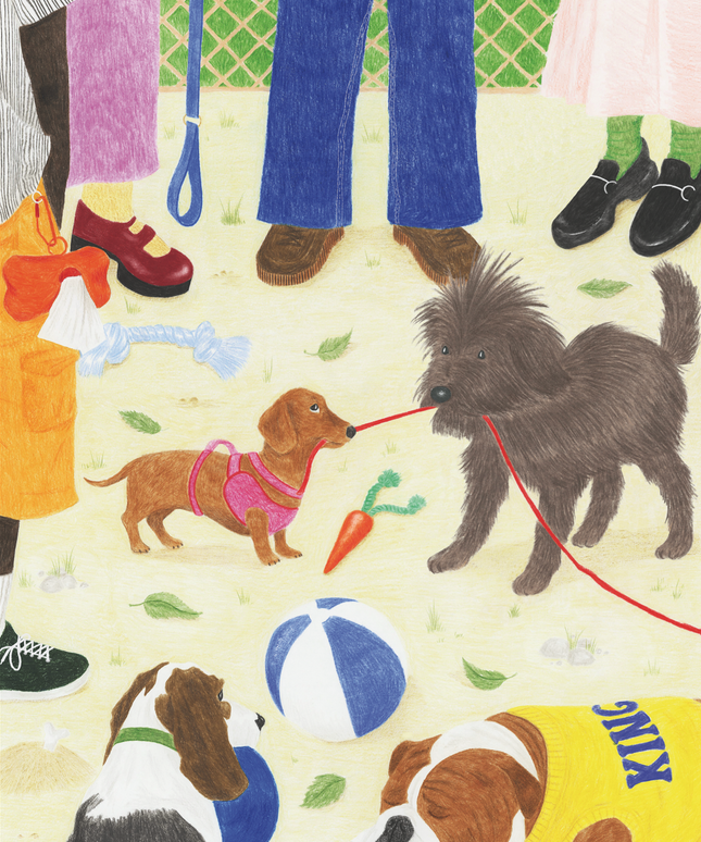 Take the Dog Out | Puslespill 1000 Brikker